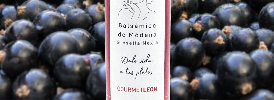 comprar vinagre balsamico con grosella negra 