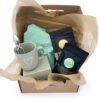 pack de te Verde sencha semper tea