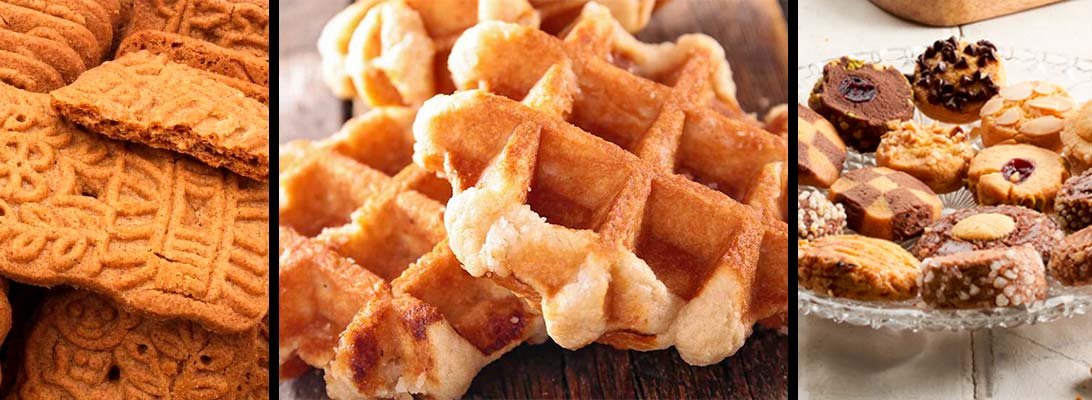 galletas al por mayor gourmet leon