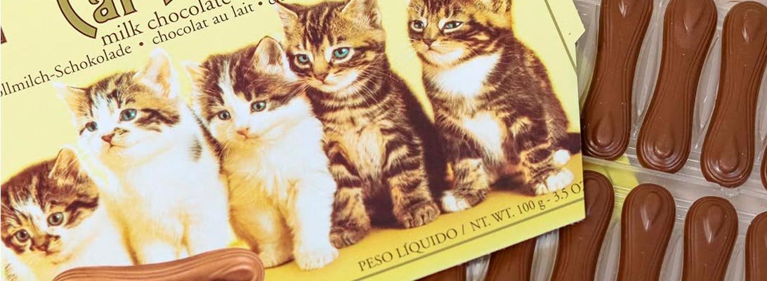lenguas de gato chocolate gourmet leon