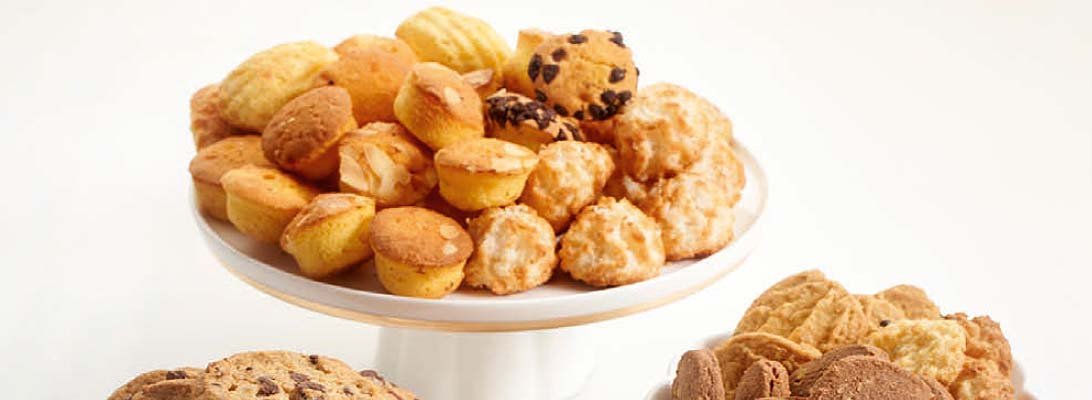 mayorista de galletas belgas gourmet leon