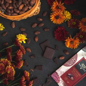 Nibs de cacao con chocolate cacao oscuro 74% | Regalo Gourmet